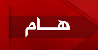 برمجة يوم إعلامي وتوجيهي.